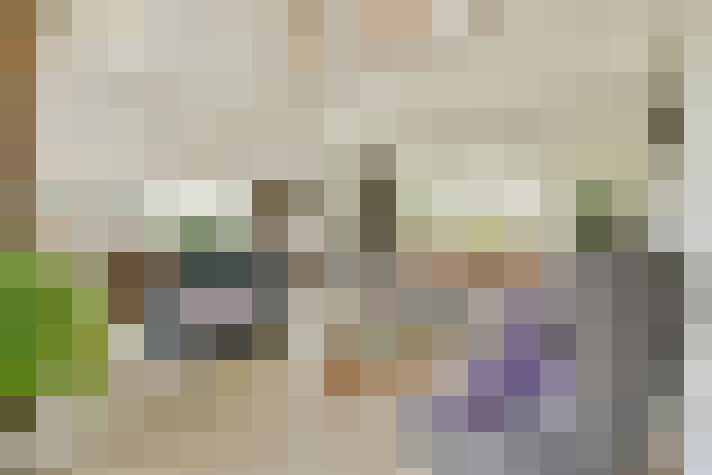 Image 13