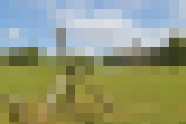 Image 69