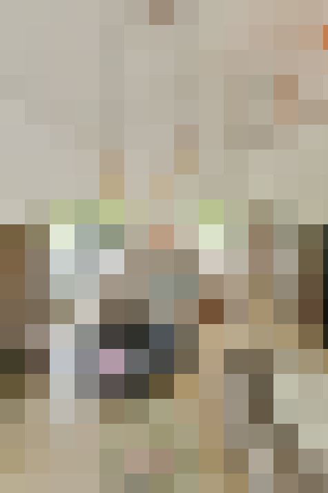 Image 26
