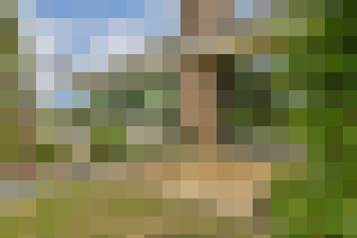 Image 30