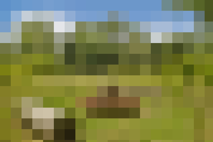 Image 68