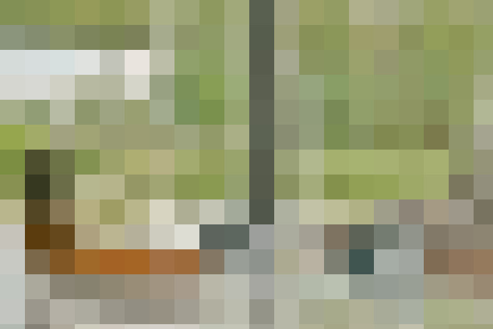 Image 15