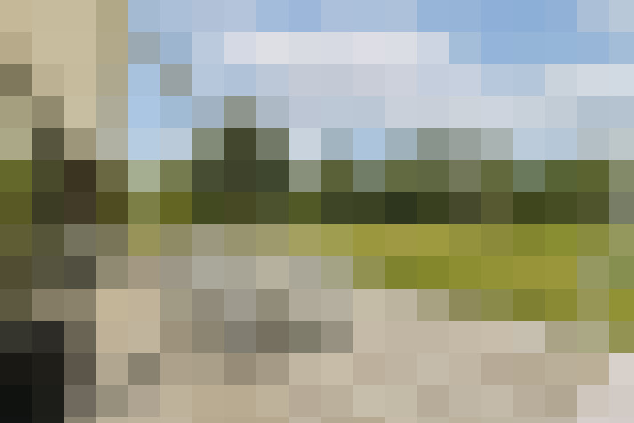 Image 29