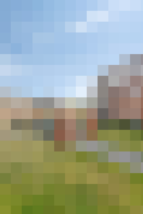 Image 29