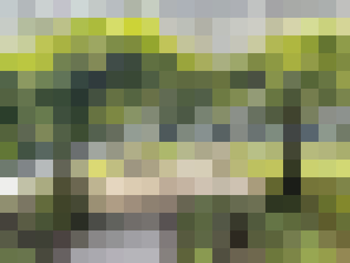 Image 38