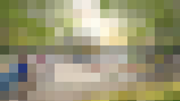 Image 46