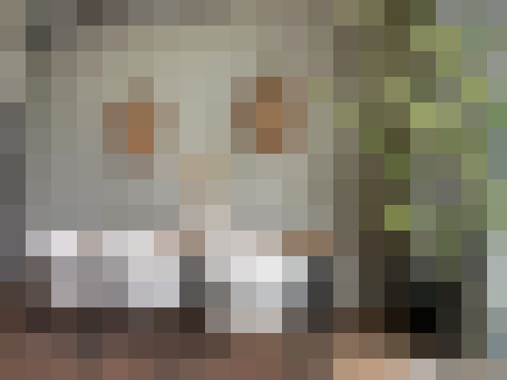 Image 27
