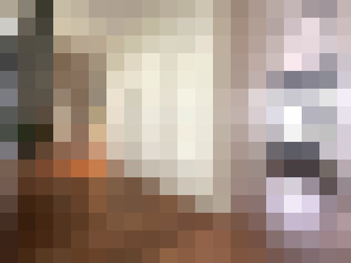 Image 29