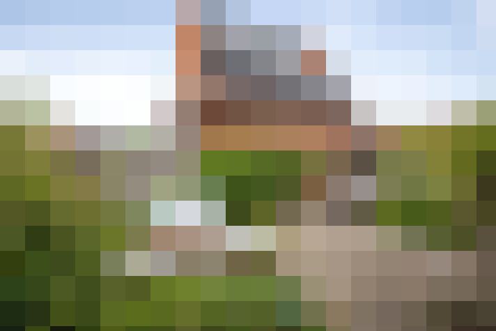 Image 31
