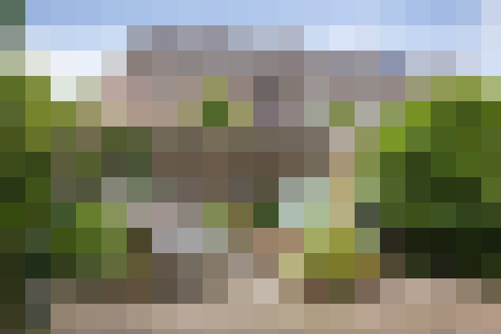 Image 30