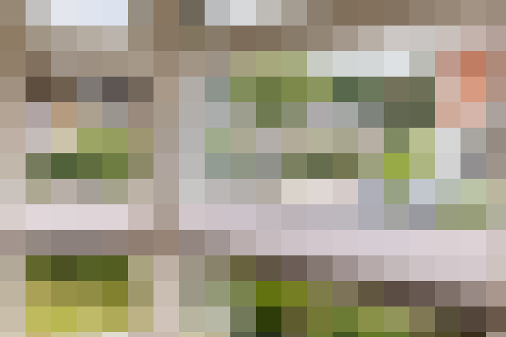 Image 14