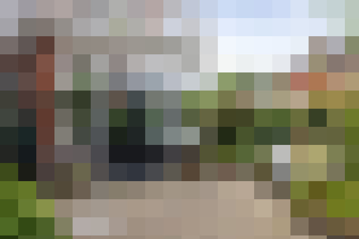 Image 29
