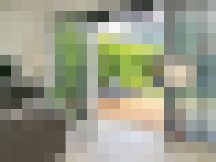 Image 22