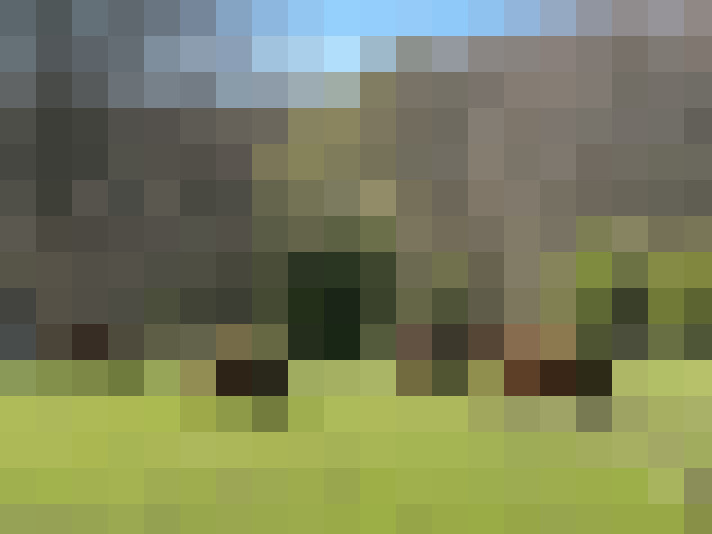 Image 65