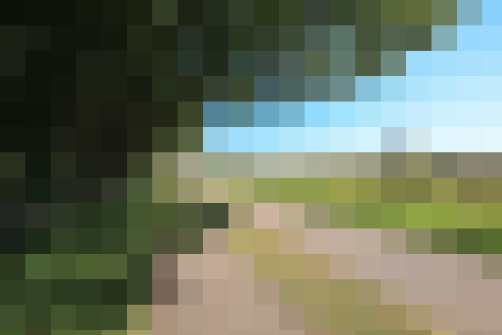 Image 52