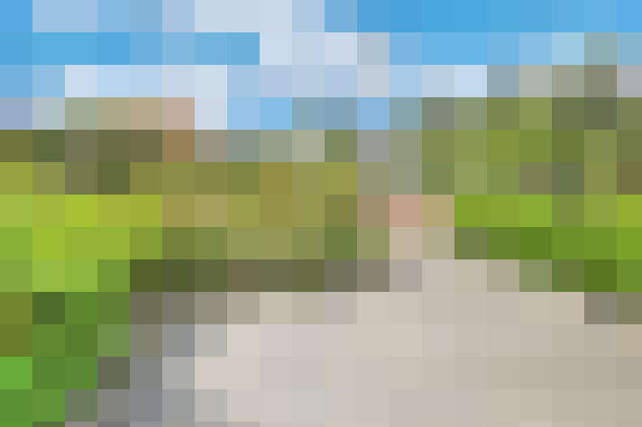 Image 49
