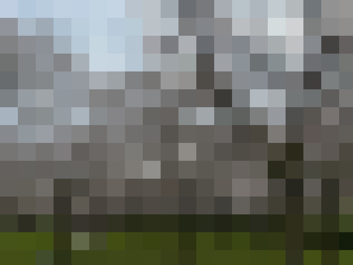 Image 64