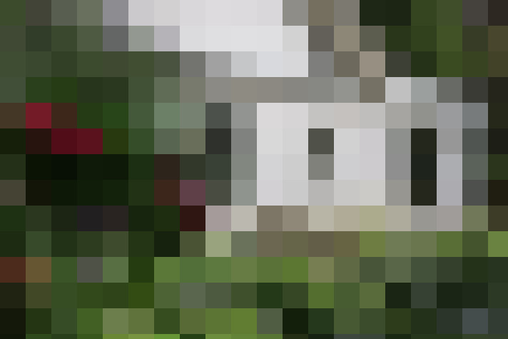 Image 31