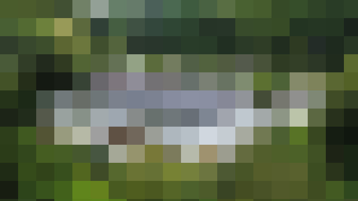 Image 43
