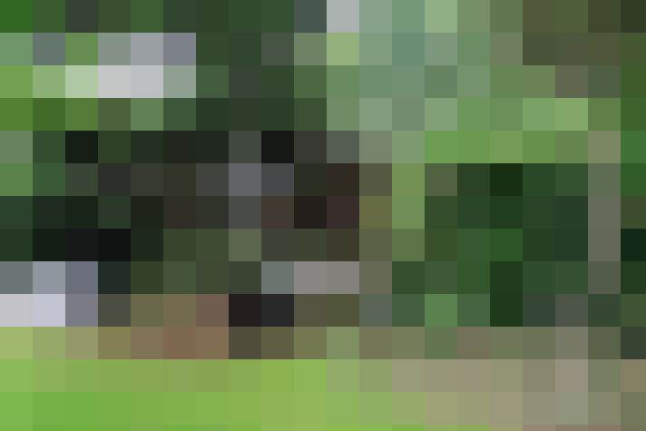 Image 33