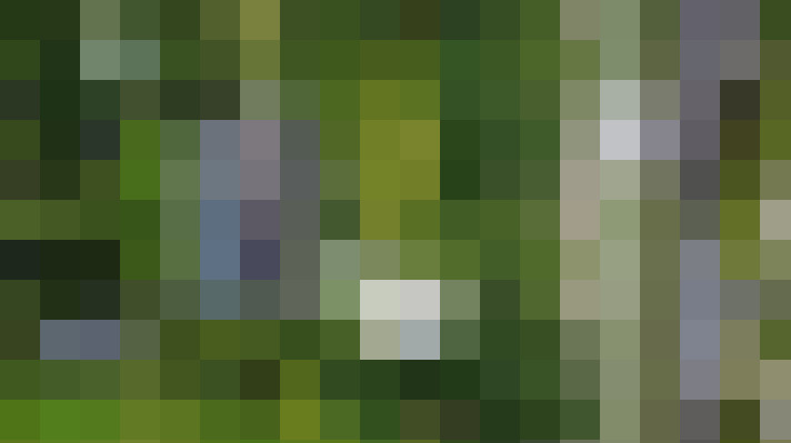 Image 45