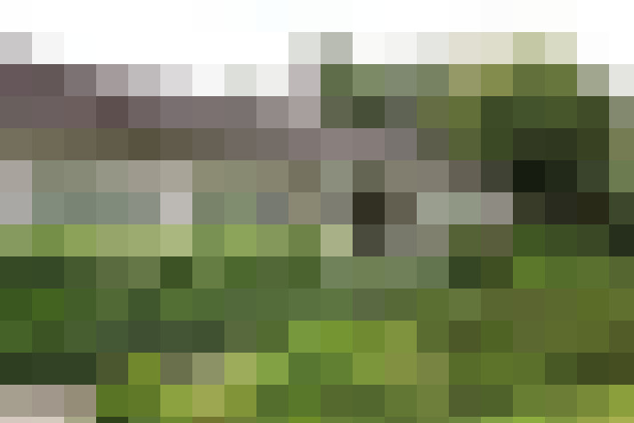 Image 40
