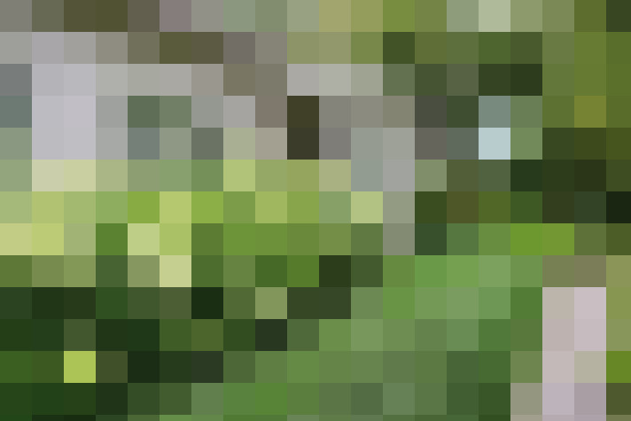Image 41