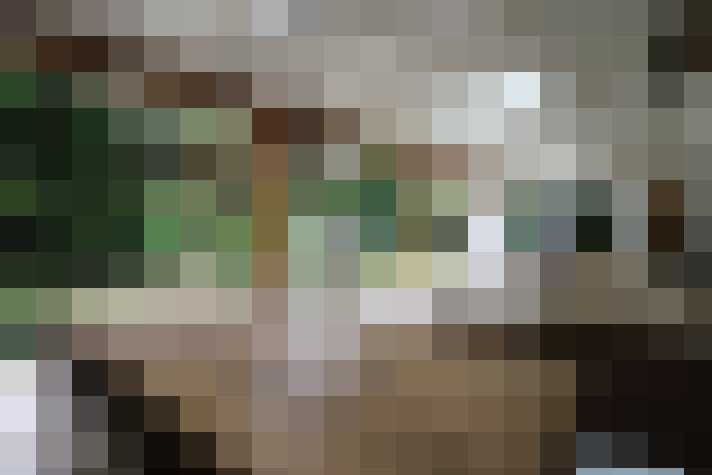 Image 29
