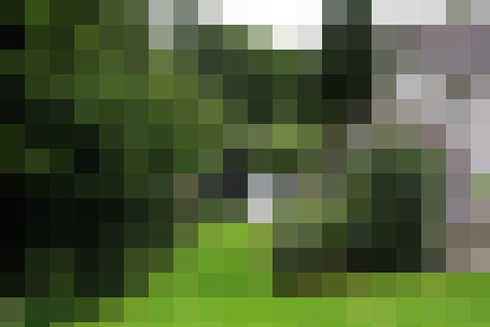 Image 39