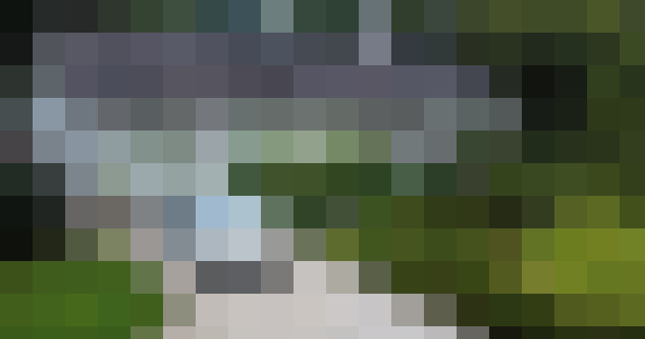Image 35