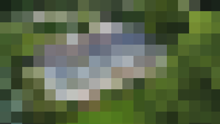 Image 44
