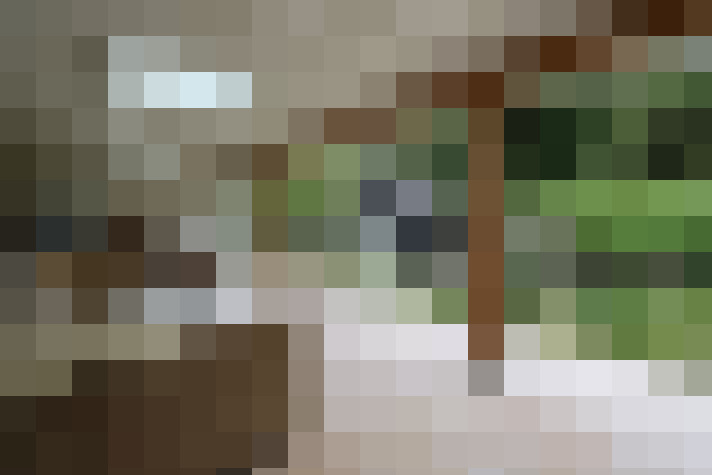 Image 25