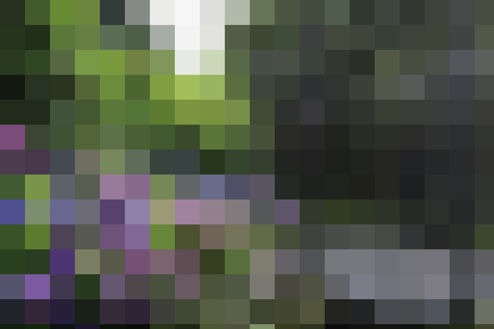 Image 34