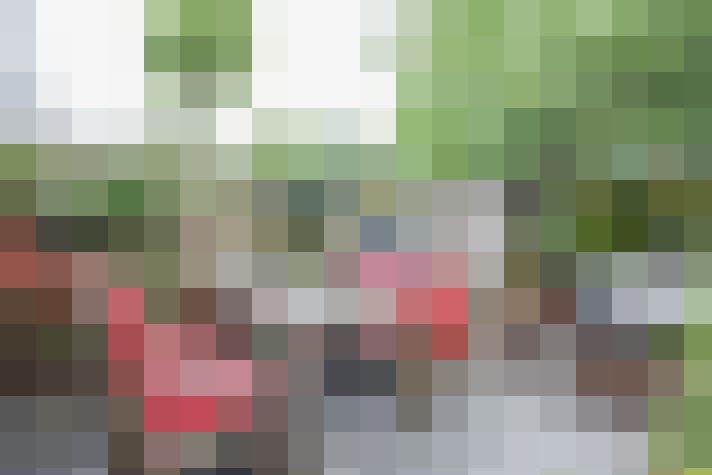 Image 16