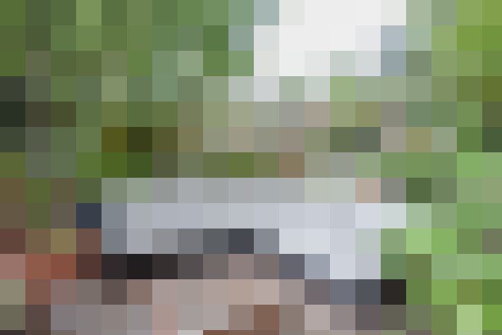 Image 17