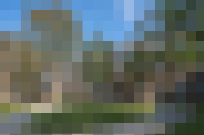 Image 13