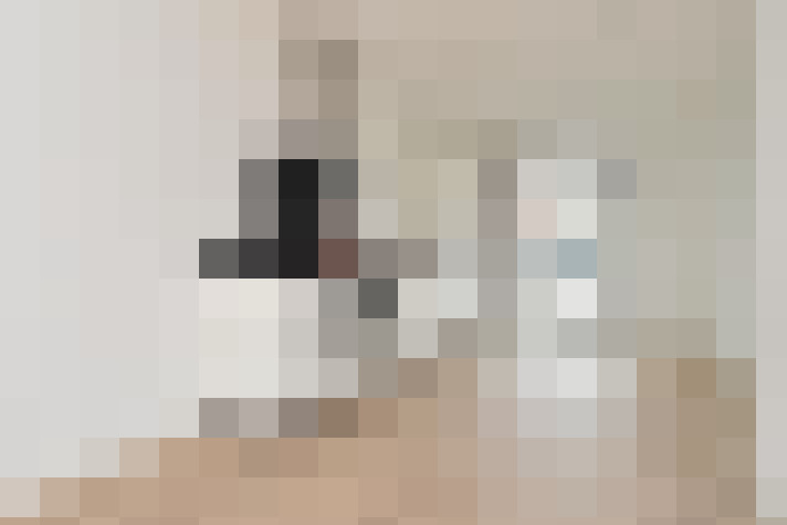 Image 20