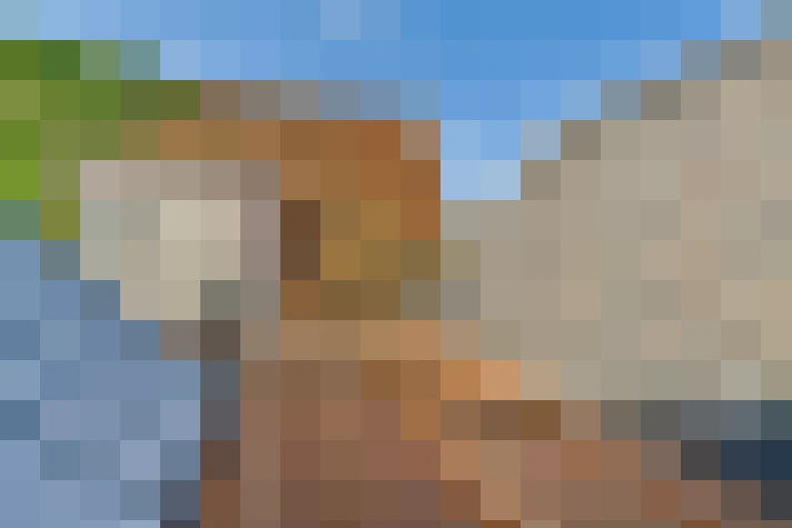 Image 22