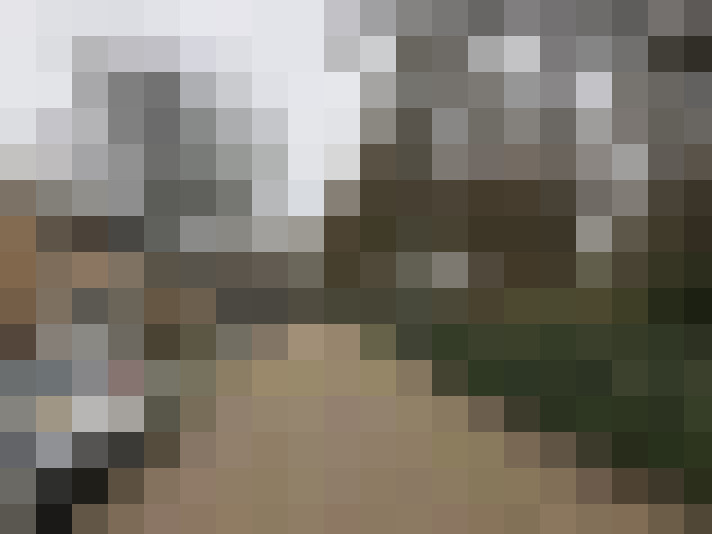 Image 26