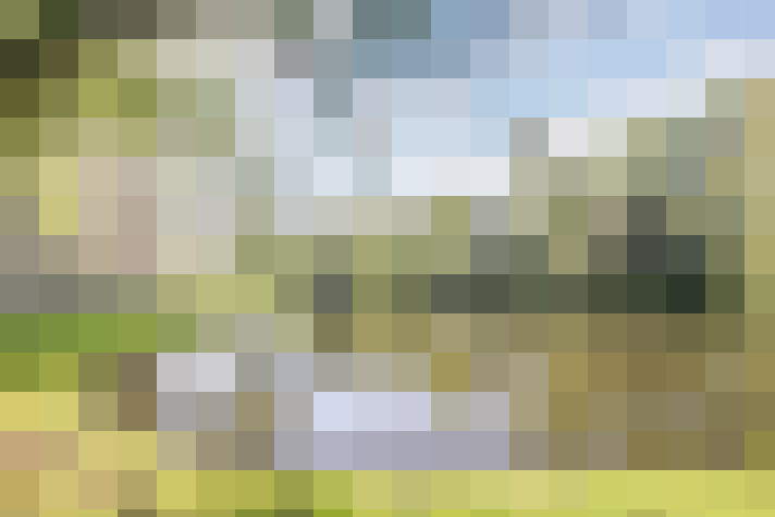 Image 15