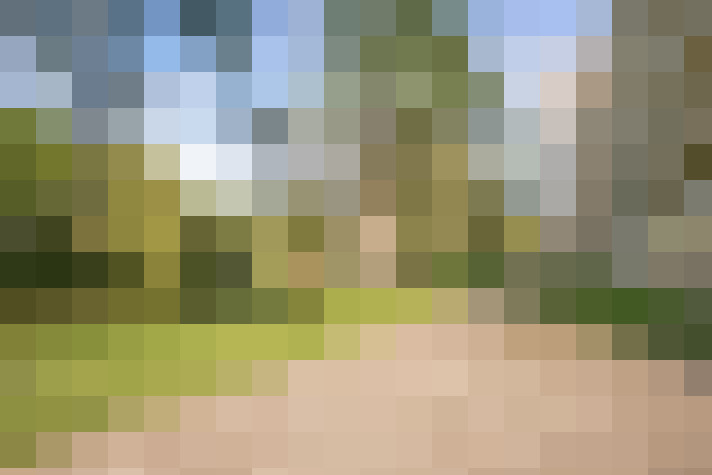 Image 16