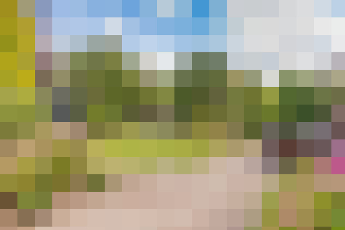 Image 15