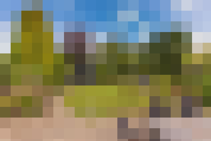 Image 16