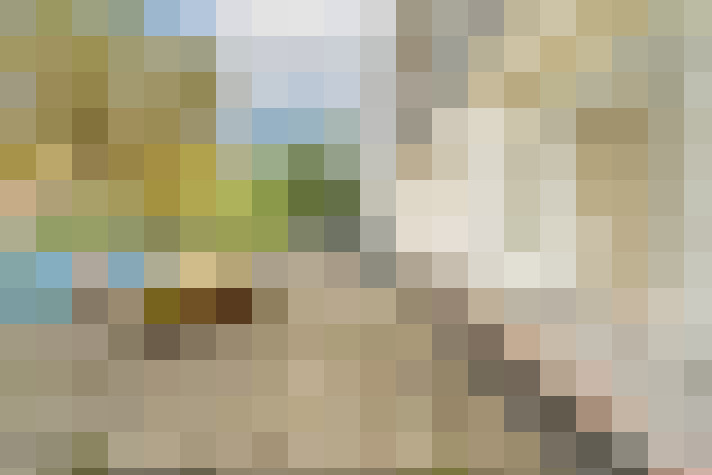 Image 25