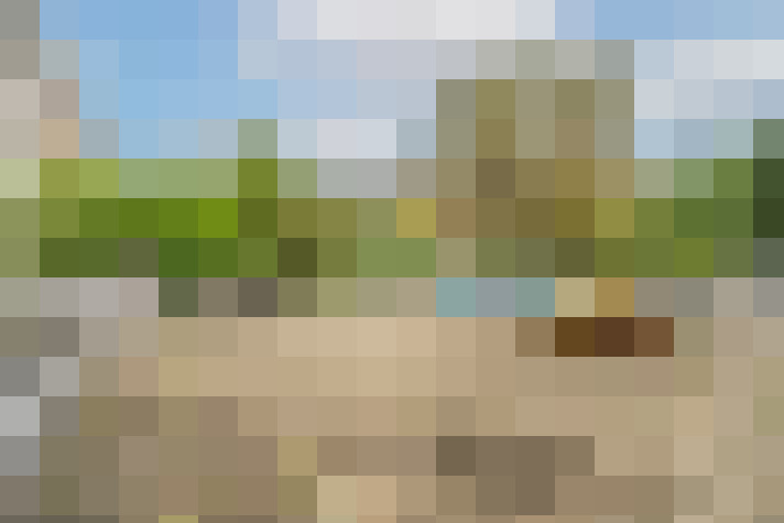 Image 22