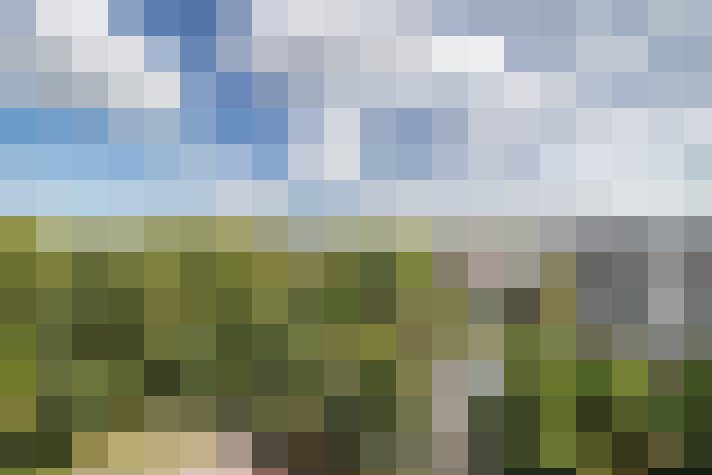 Image 33