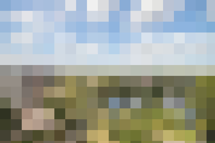Image 31