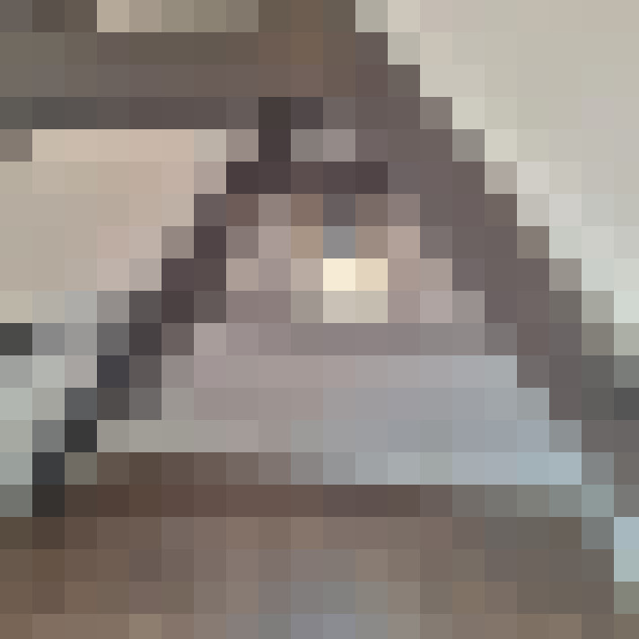 Image 29