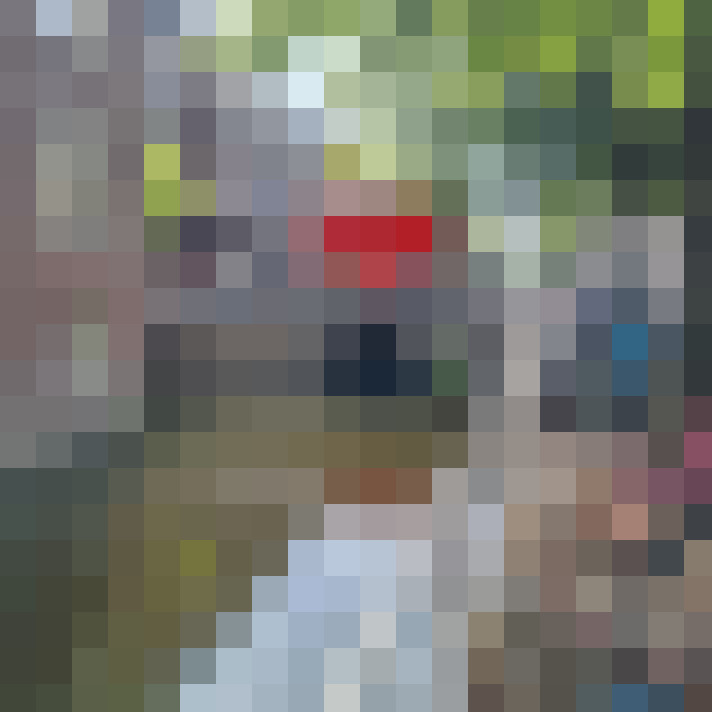 Image 32