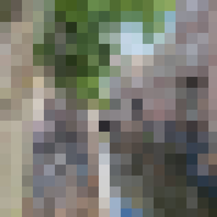 Image 33